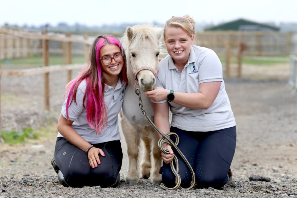 Wagtail Equine Therapy